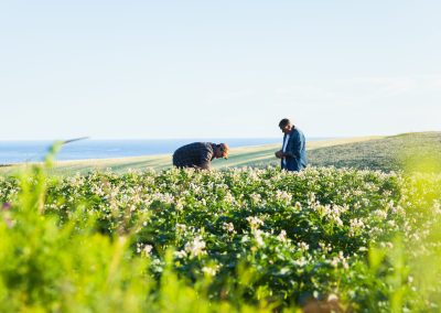 Potato Sustainability Alliance Releases 2023 North American Potato Sustainability Assessment Report