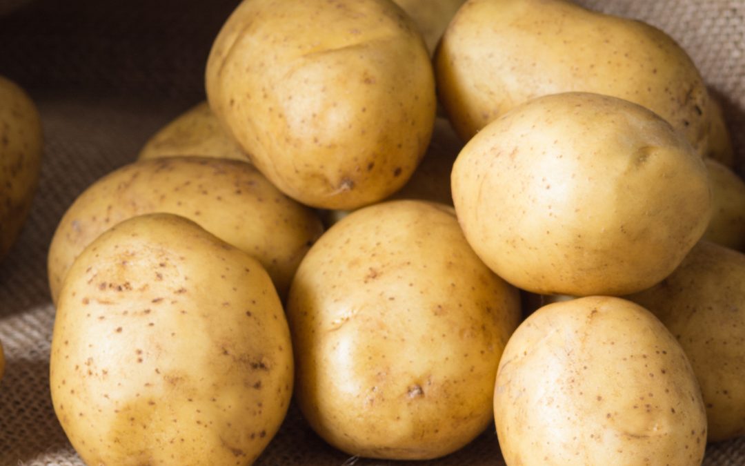 Ep. 7: The Potato’s Role in Nutrition and the Environment