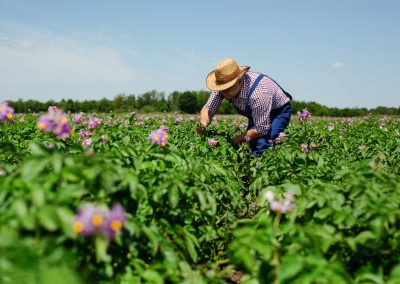 Ep. 8: How do we support today’s well-informed farmers?