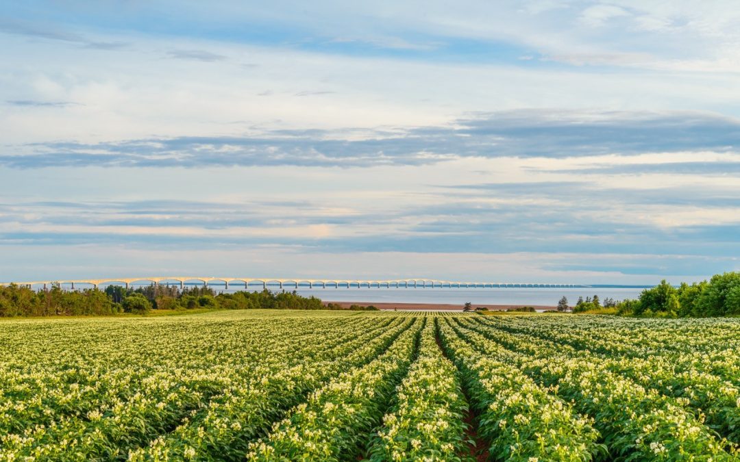 Resource Positive Agriculture