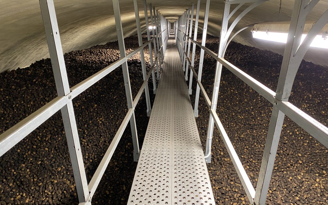 Six Ways to Increase Sustainability of Potato Storage