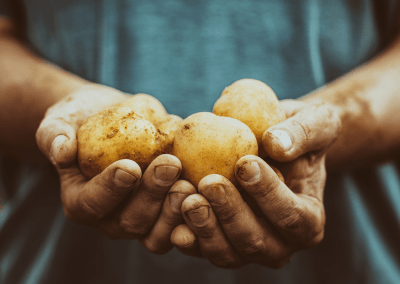 Ep. 18: Sustainable Spuds and Global Goals with Jolyn Rasmussen