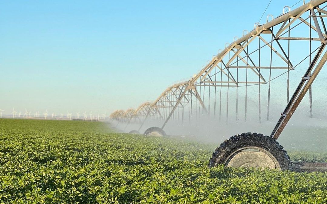 Water Stewardship is more than a Drop in Bucket for Farm Sustainability