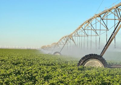 Water Stewardship is more than a Drop in Bucket for Farm Sustainability