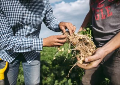 Potato Sustainability Alliance Elects Executive Committee