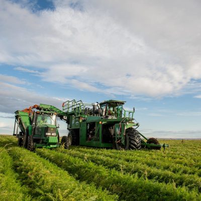 Threemile Canyon Farms